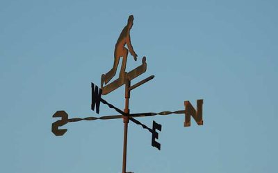 Learn about sustainable construction: Is building orientation important?